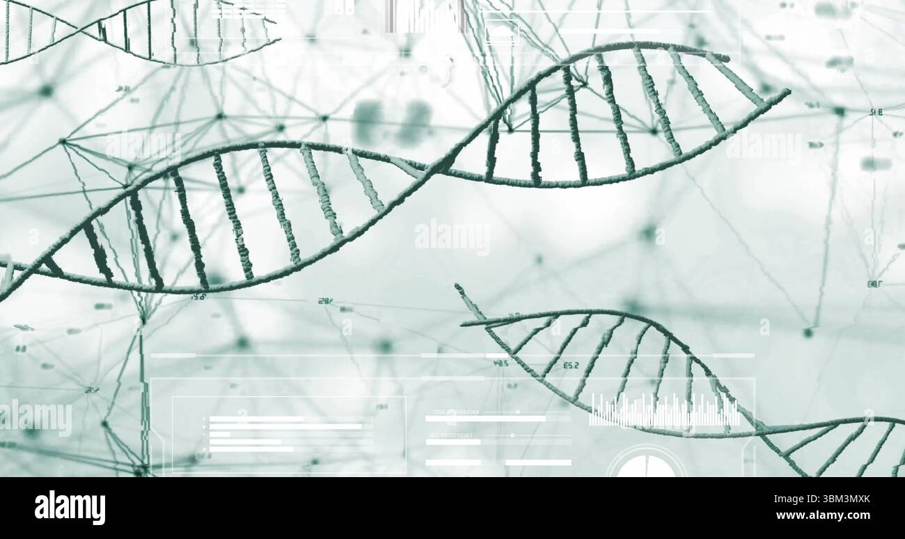 Stylized DNA double helix models floating in data interface, with network nodes and numeric labels Stock Photo