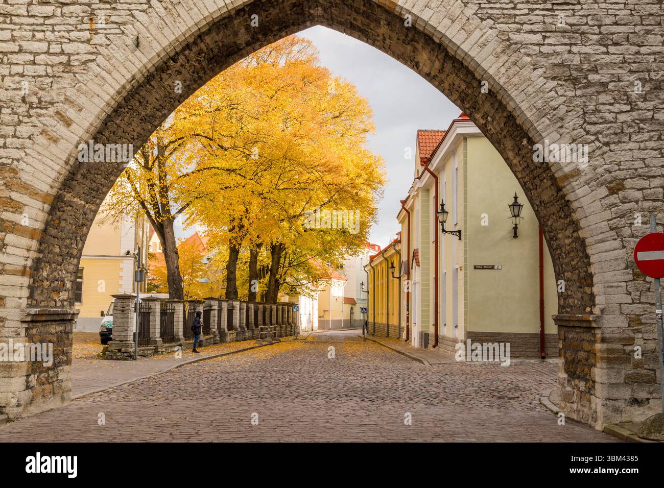 Eastern Europe, Baltic States, Estonia, Tallinn. Old town, arched entryway into oldtown. Stock Photo