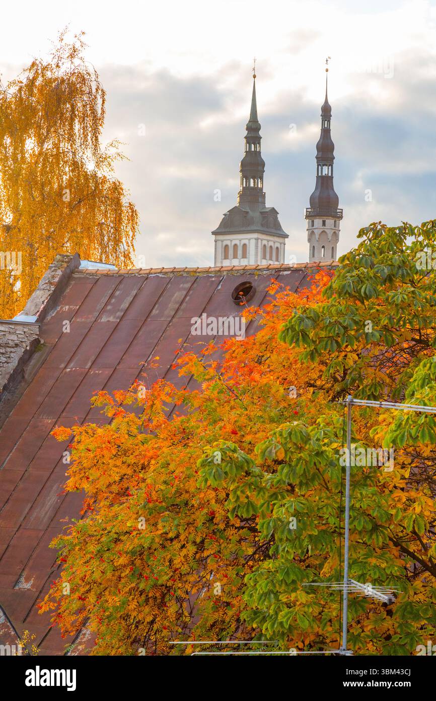Eastern Europe, Baltic States, Estonia, Tallinn. Autumn leaves, roof tops, old town. Stock Photo