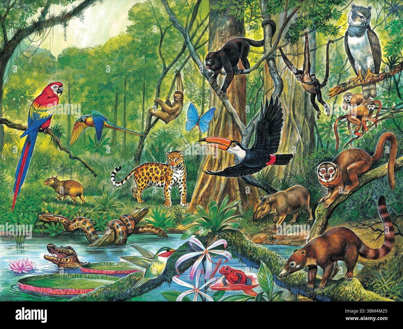 Diverse animals hi-res stock photography and images - Alamy