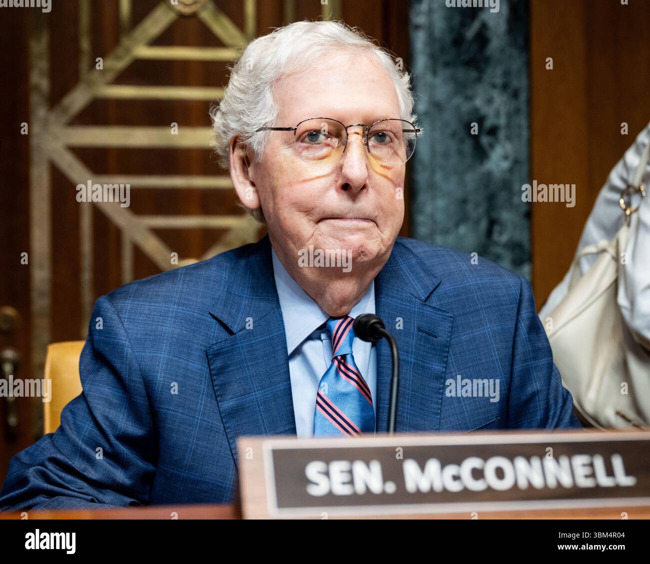 U.S. Senator Mitch McConnell (R-KY) speaking at a hearing of the Senate