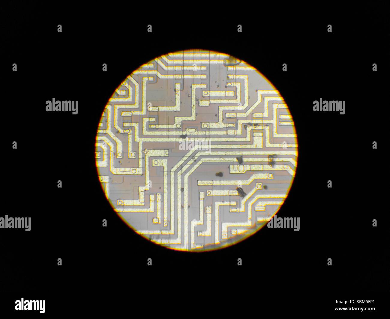 Microcircuit core, view from a microscope. Stock Photo
