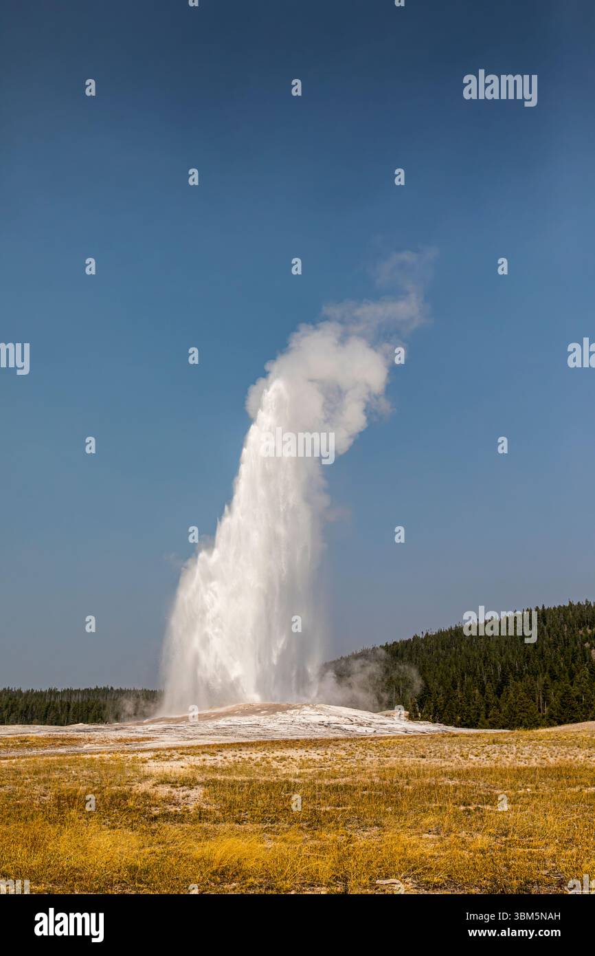 Geysers spew boiling water and steam into the air. Stock Photo