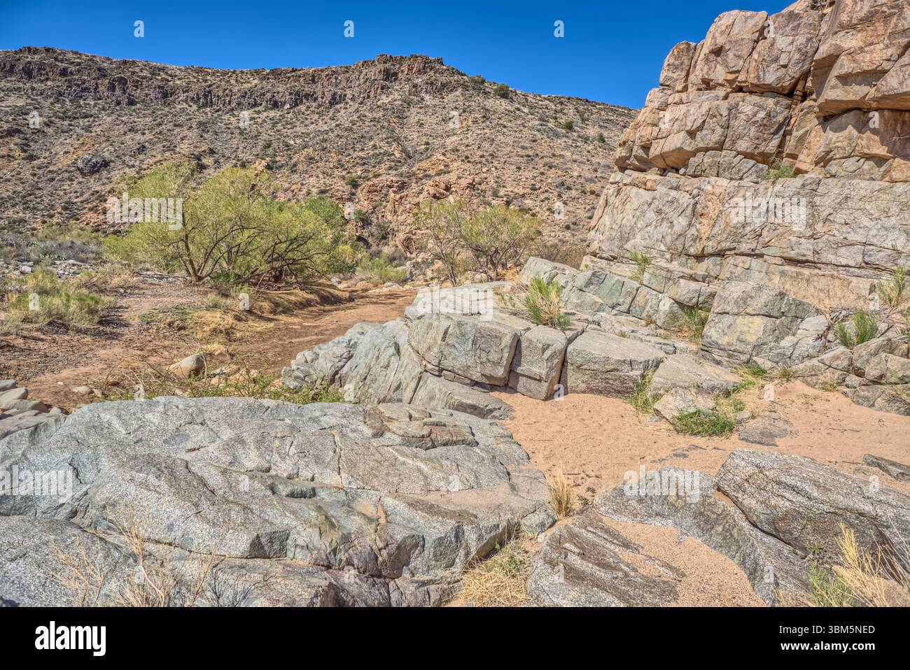 The Badger Springs Creek confluence where it meets the Agua Fria River ...