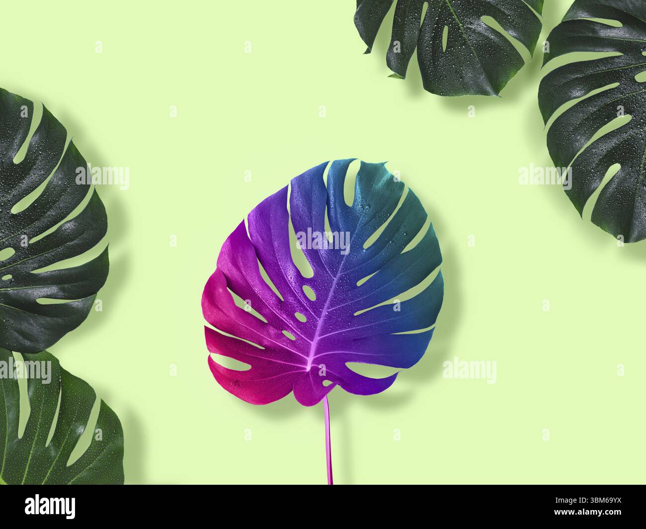 Creative saturated surrealism background. Dissimilarity art concept Stock Photo