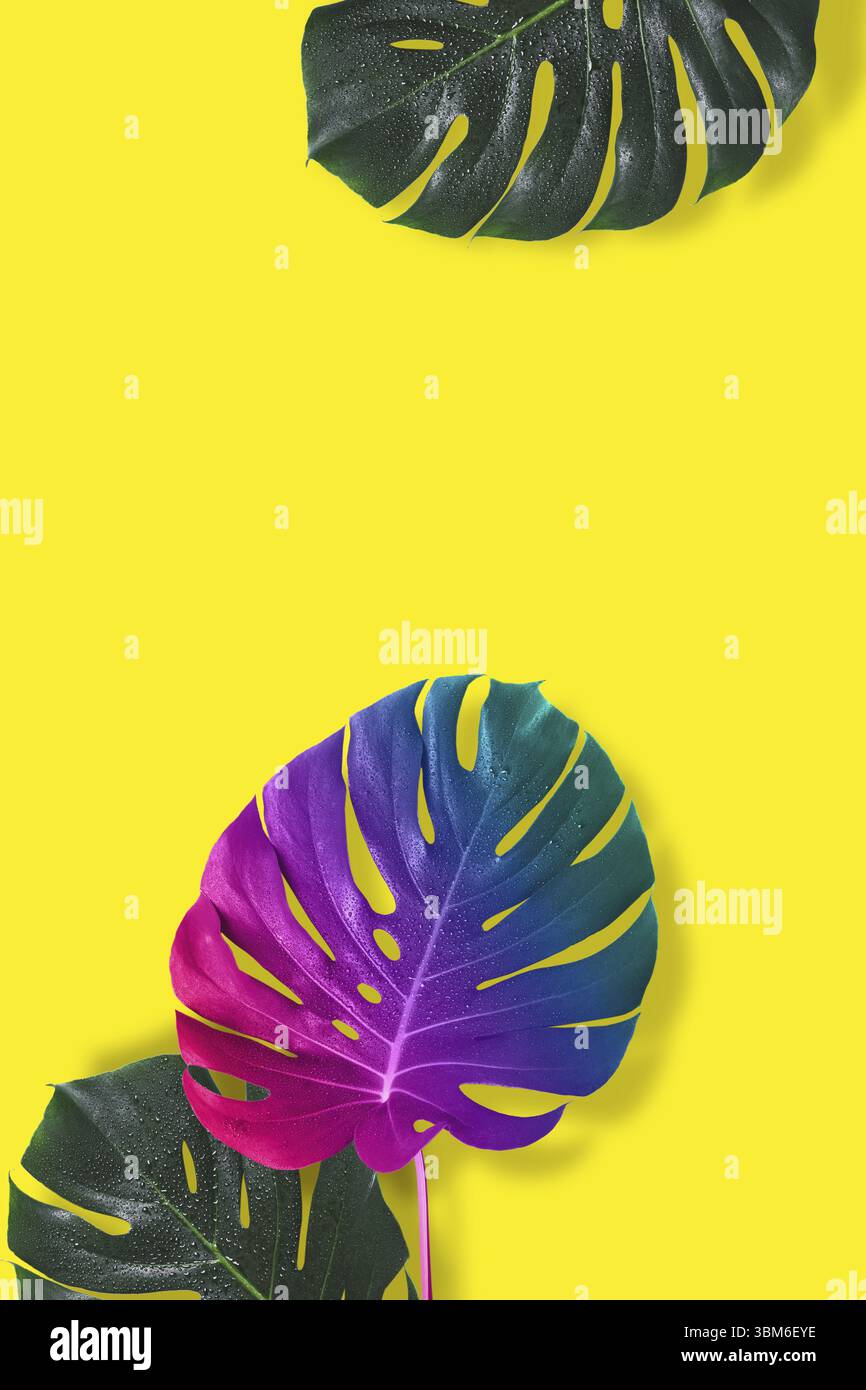 Creative saturated background. Dissimilarity surrealism art concept Stock Photo