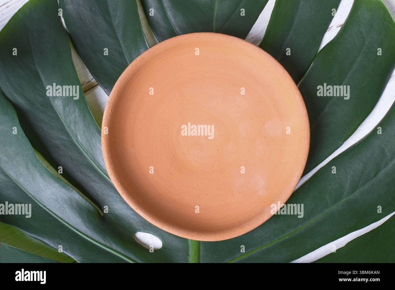 Empty ceramic handmade dish on a leaf of monsters Stock Photo