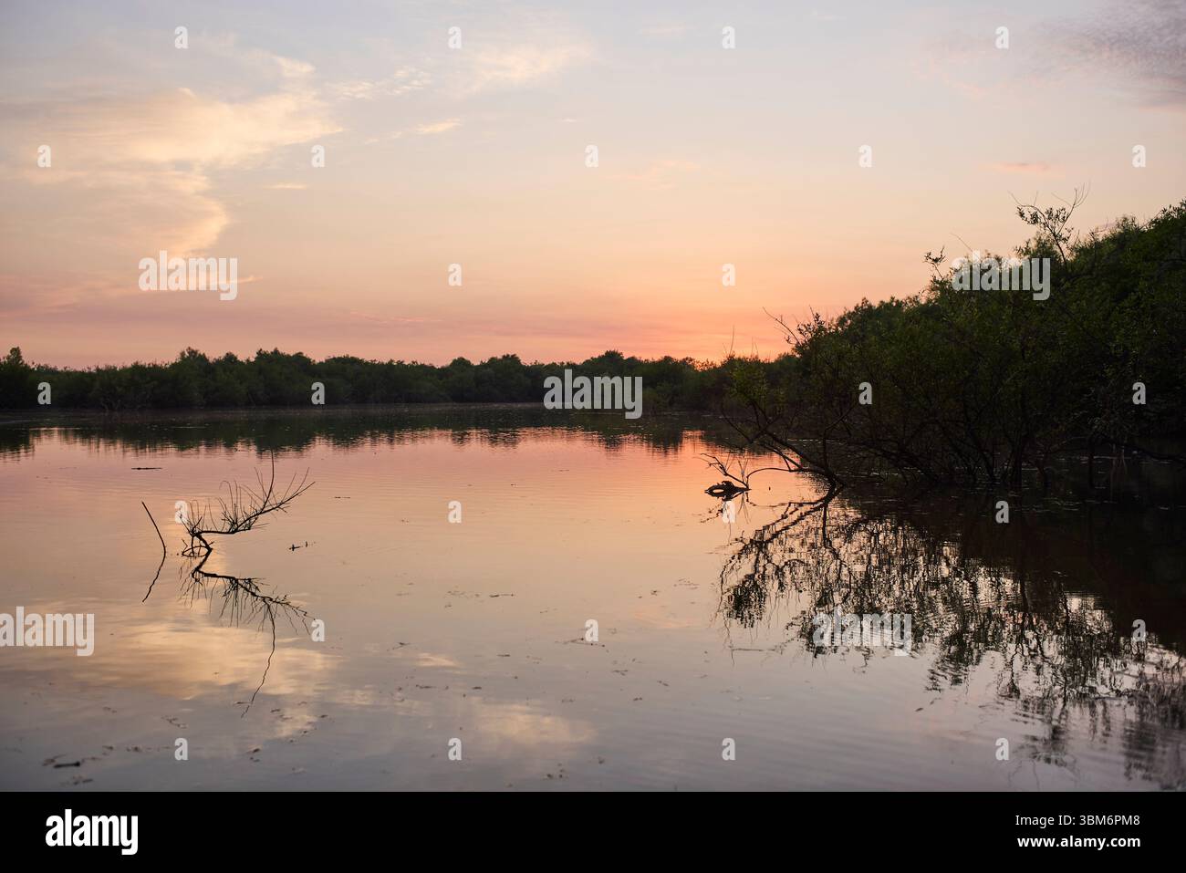 Tranquil scene, sunrise over Los Loros creek in El Palmar National Park ...