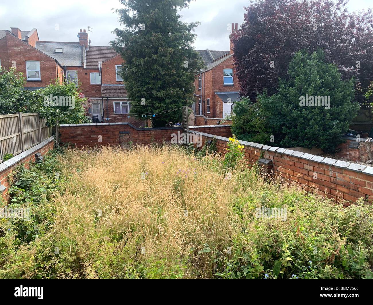 House in Colwyn Road Northampton old shop Grocery shops Shakespeare Road tree garden high tall bushes place sign signs students live - Smartphone Captured Stock Image