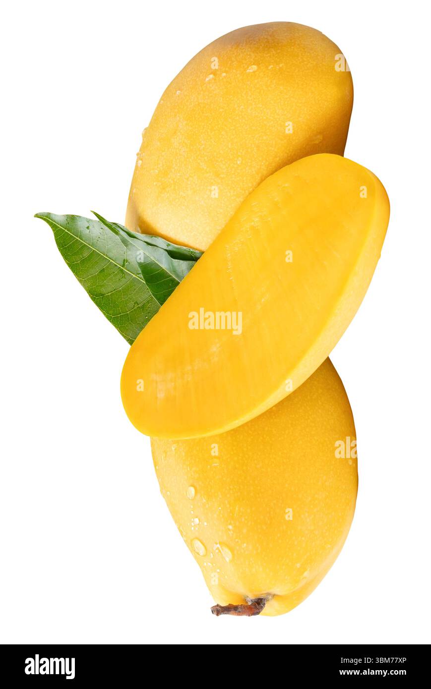 Two ripe yellow mango fruits and mango half with green leaves and water ...