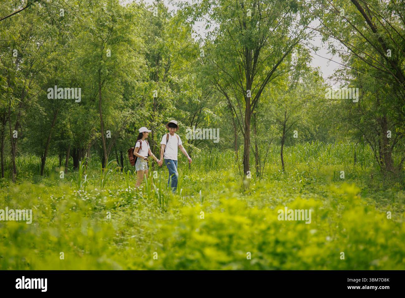 A young couple walking hand in hand through the forest Stock Photo - Alamy