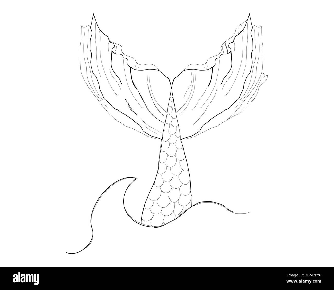 Minimalist outline icon fish Black and White Stock Photos & Images - Alamy
