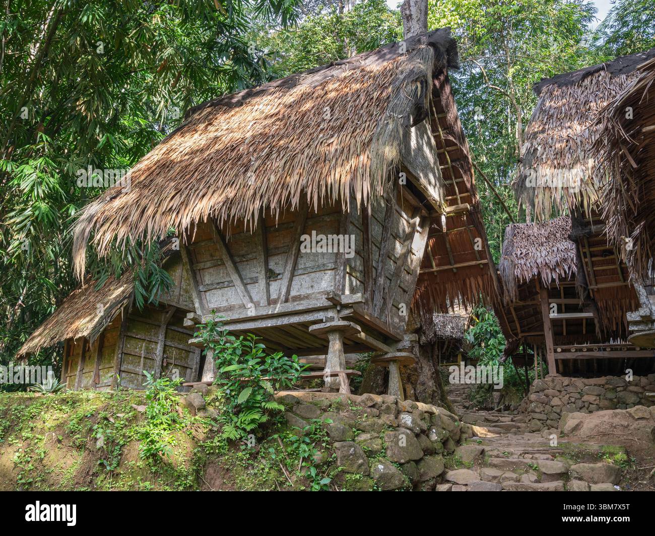 Java Banten Scenic view of traditional bamboo and wooden rice granaries of Badui or ...
