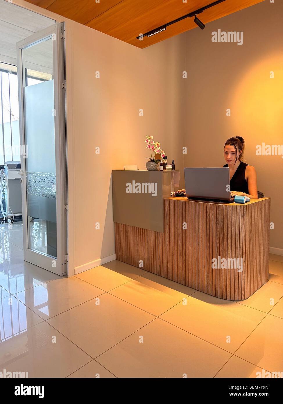 Spa Reseption Woman Beauty salon reception reception spa hi-res stock photography and ...