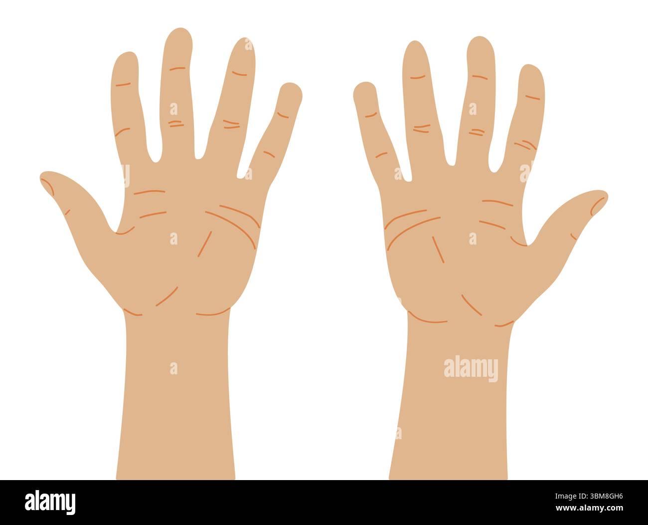 Right and left palms of human hand. Vector illustration isolated on white background. Stock Vector