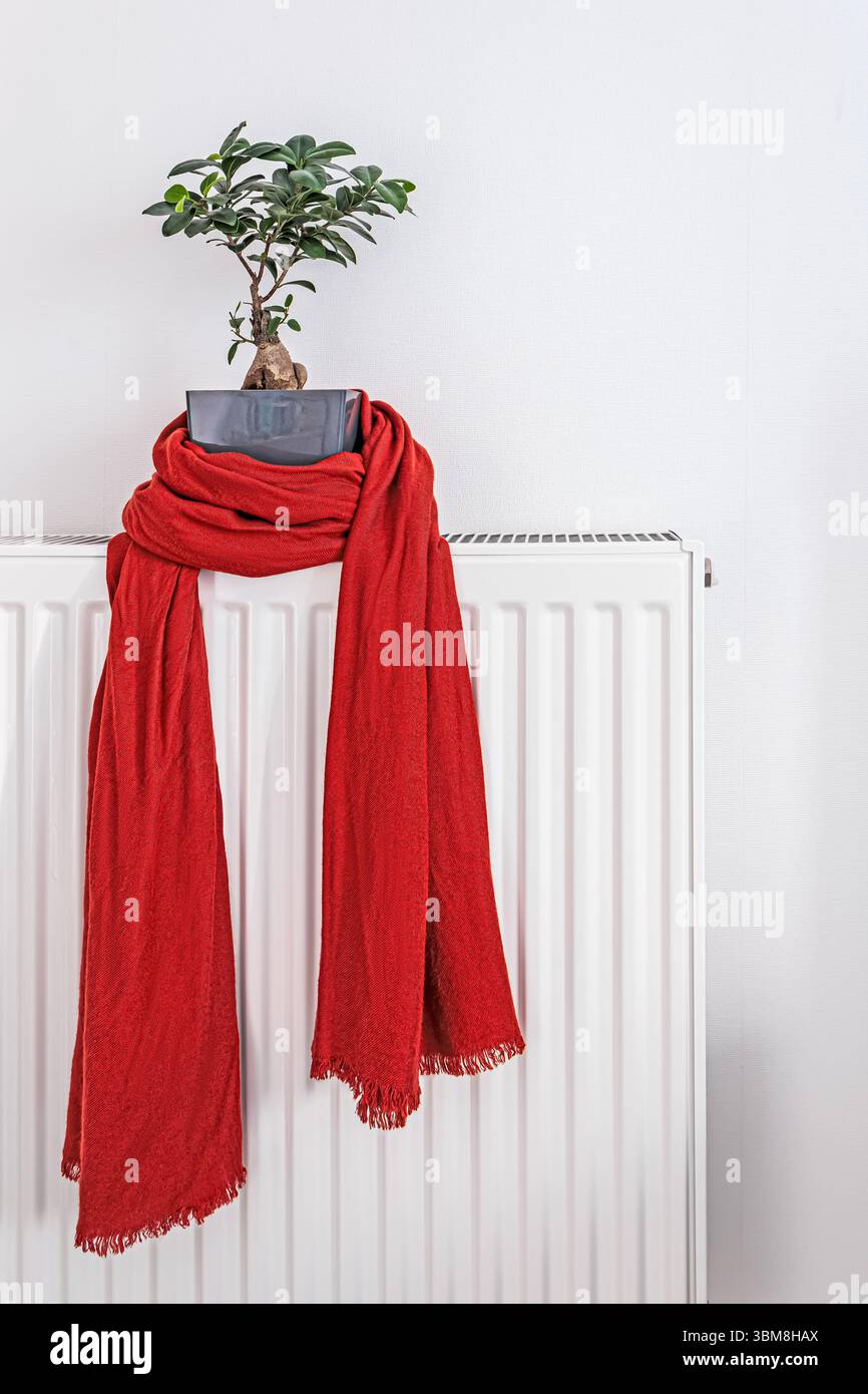 Bright red scarf and green bonsai plant placed on a white radiator in a clean, modern room Stock Photo