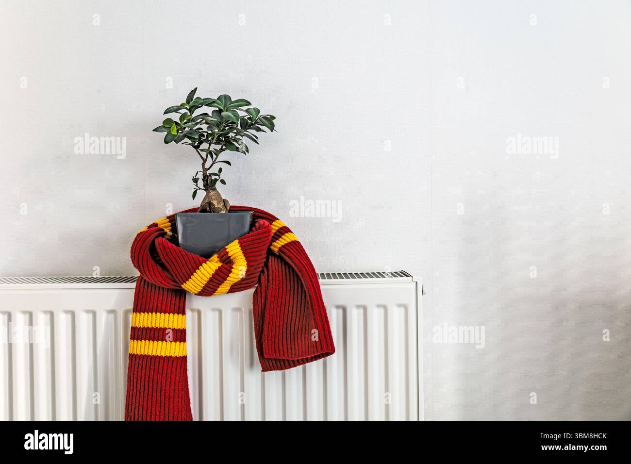 Red and yellow striped knitted scarf wrapped around a potted plant on a white radiator Stock Photo