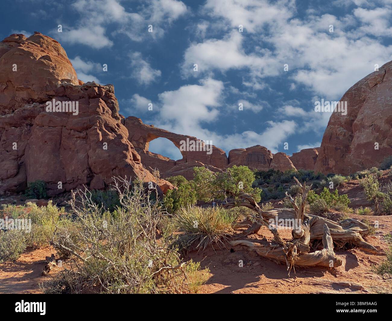 A desert landscape in Arches National Park with rock formations, an arch and scrub brush on the Skyline Arch Trail, Utah - Smartphone Captured Stock Image
