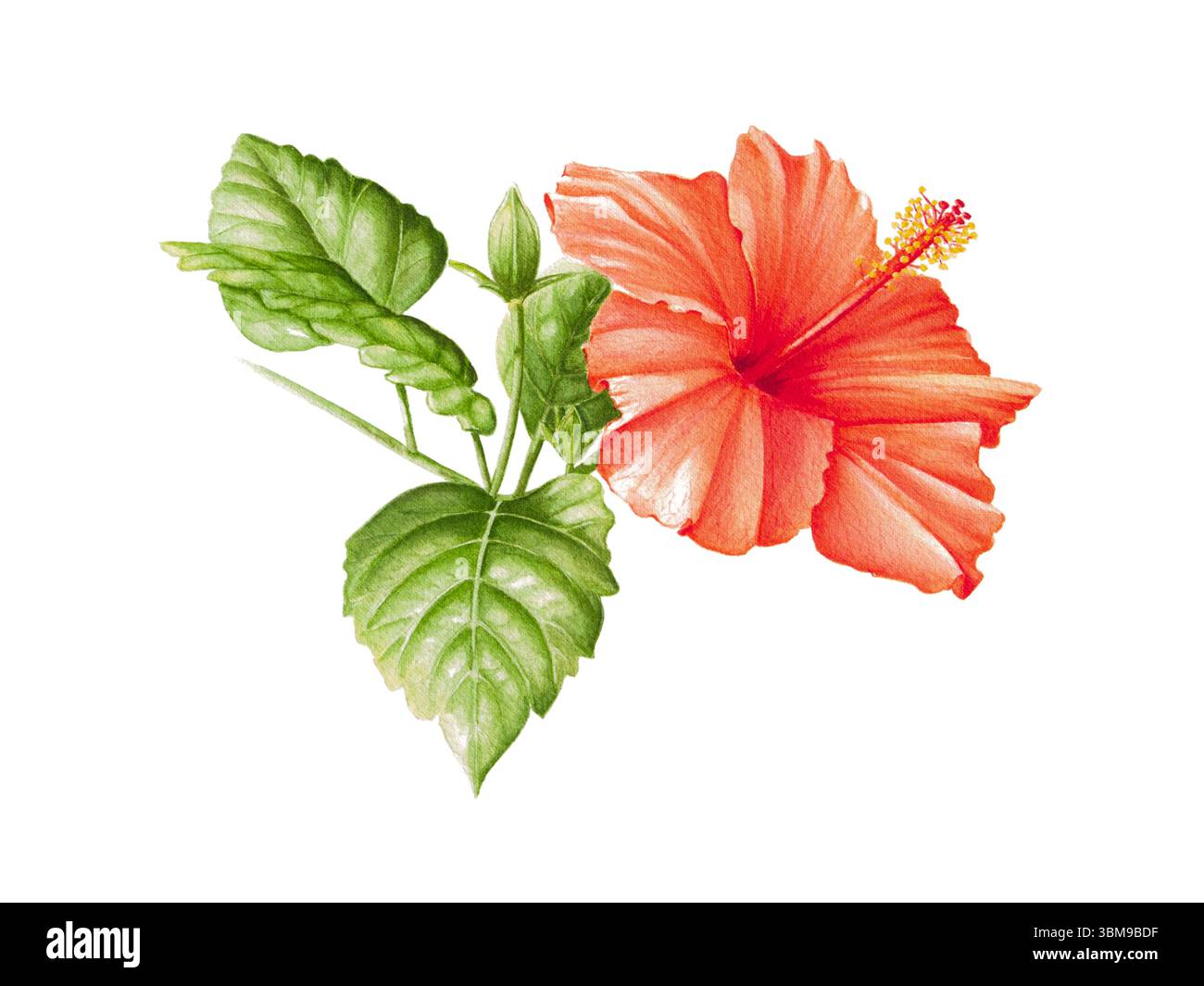 Ornement d'hibiscus en toile à aiguille peint à la main, 18