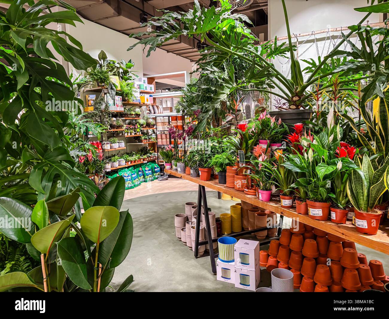 Interior view of a home decor and homeware store in Dublin, Ireland, displaying a wide variety of potted plants, ceramic pots, and homeware accessorie Stock Photo