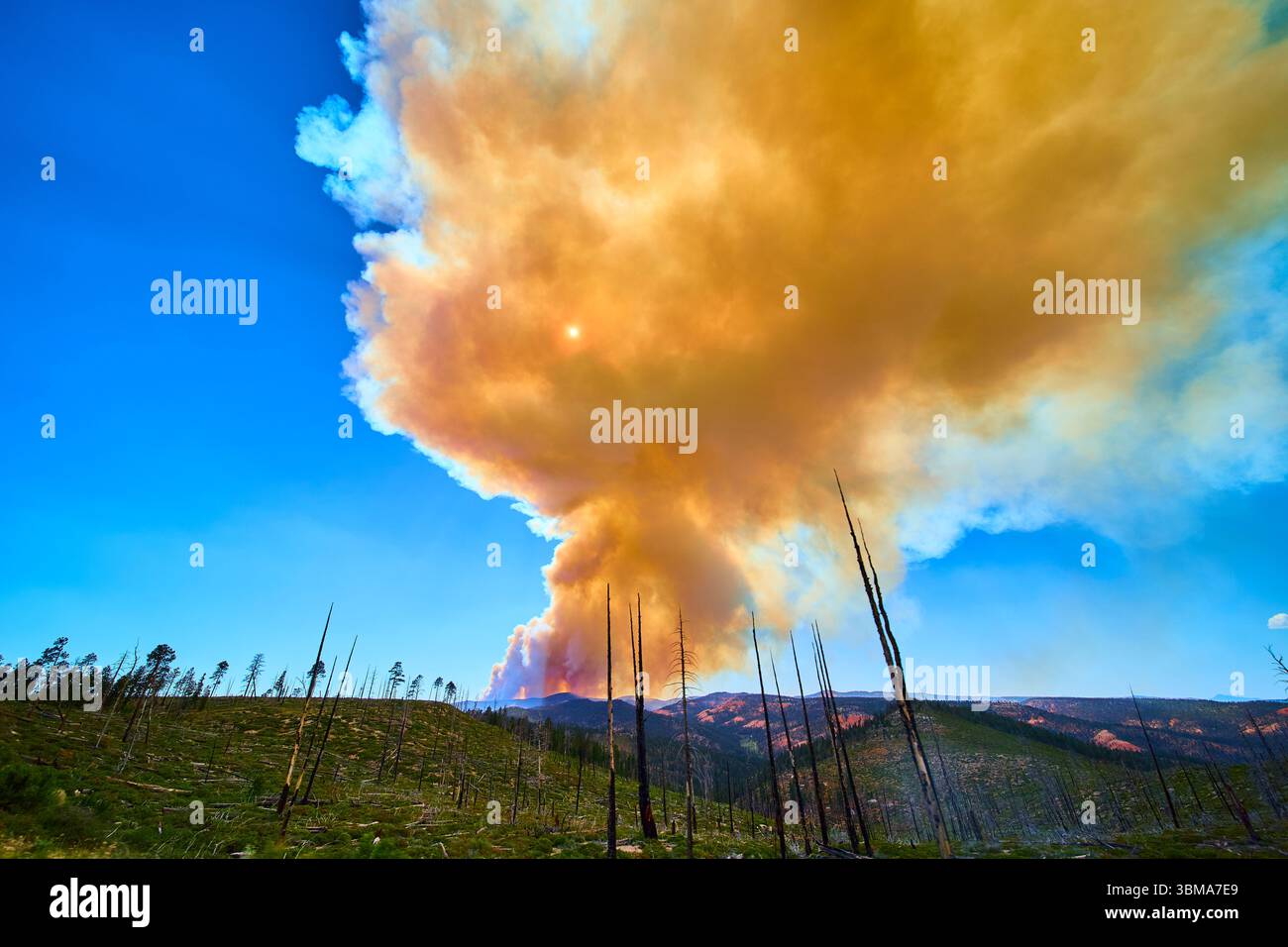 Forest Fire Smoke Plume Over Mountain Landscape With Dead Trees And ...