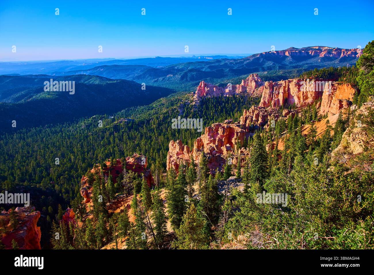 Bryce Canyon Red Rock Hoodoos Pine Forest and Scenic Vista in Morning ...