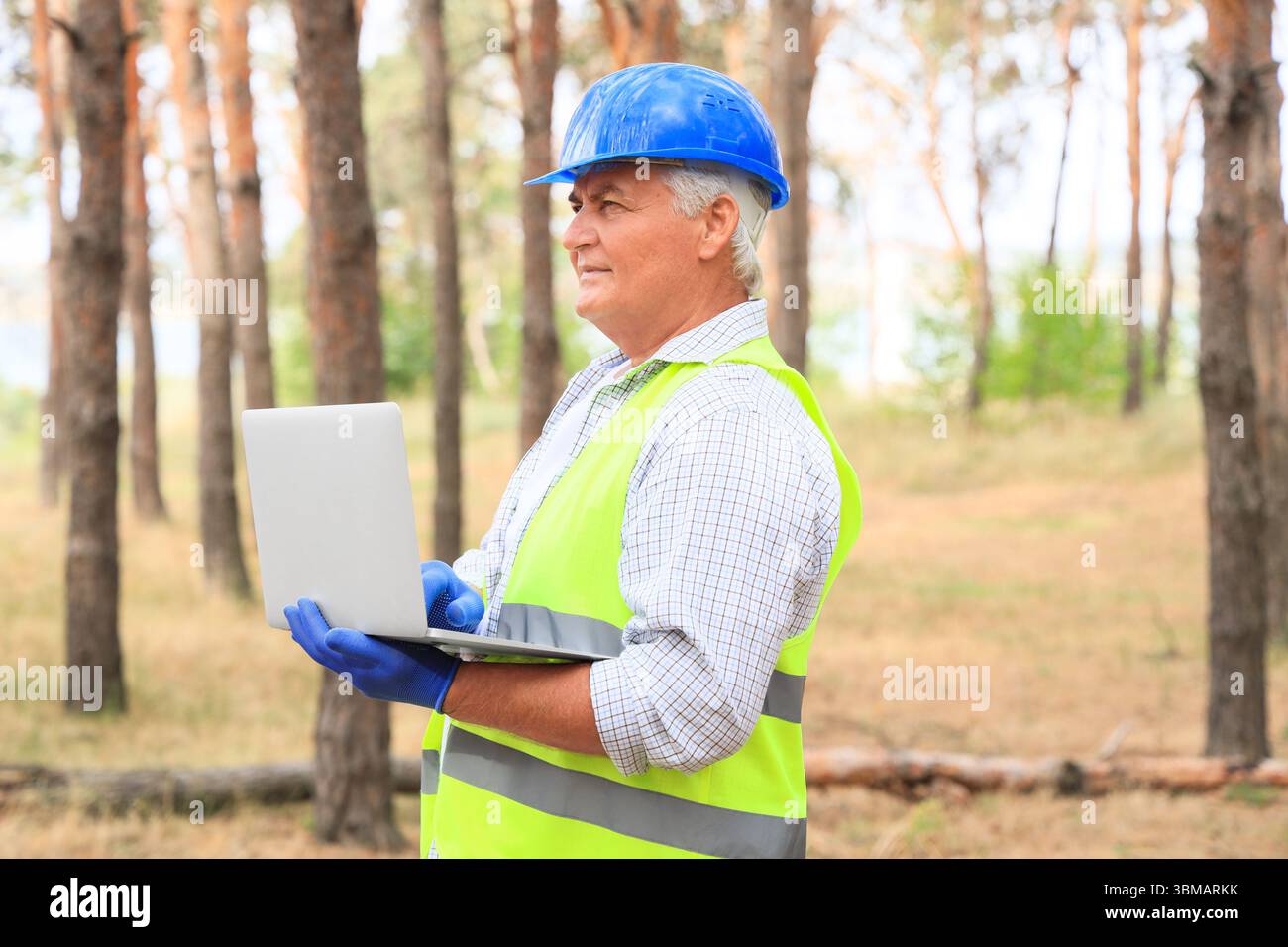 Senior forester using laptop in forest Stock Photo