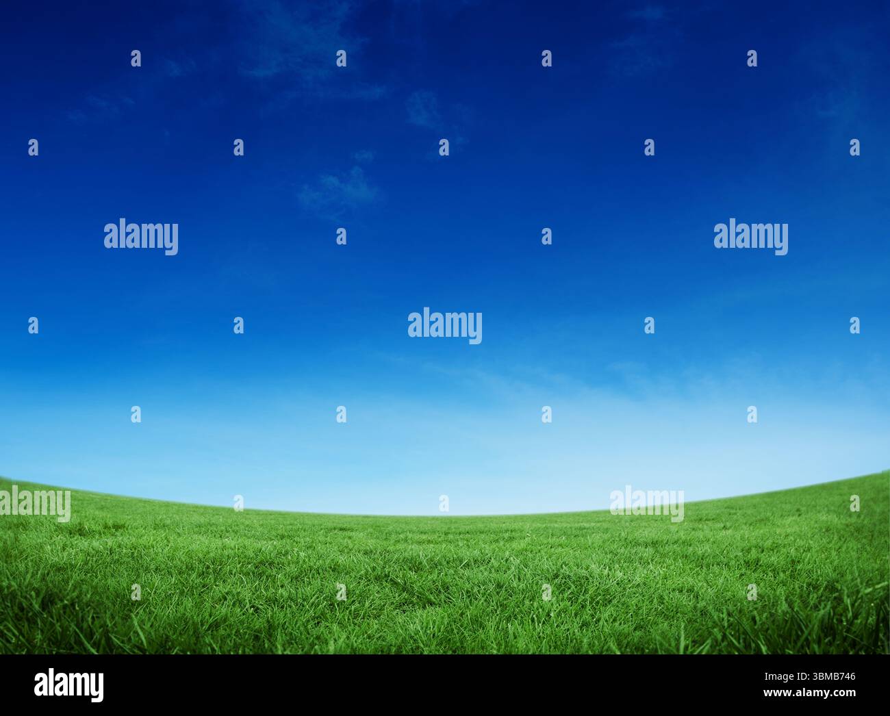 Green field under blue sky Stock Photo - Alamy