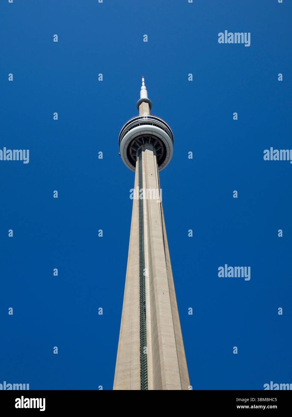 Gallery image with a fresh perspective