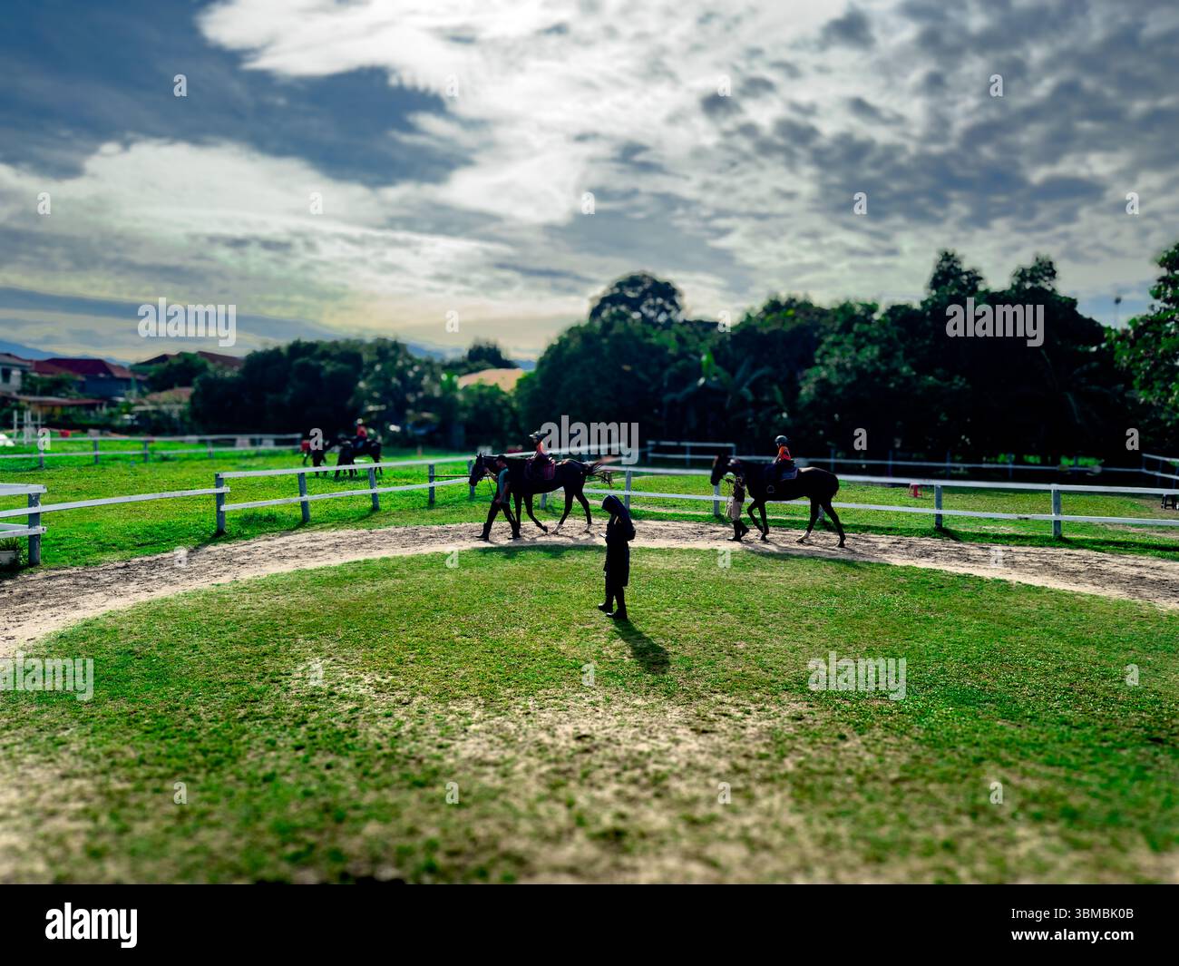 Silhouettes of two horseback riders captured from above in a sunlit riding arena. The sunlight behind the subjects casts dramatic shadows, enhancing t - Smartphone Captured Stock Image