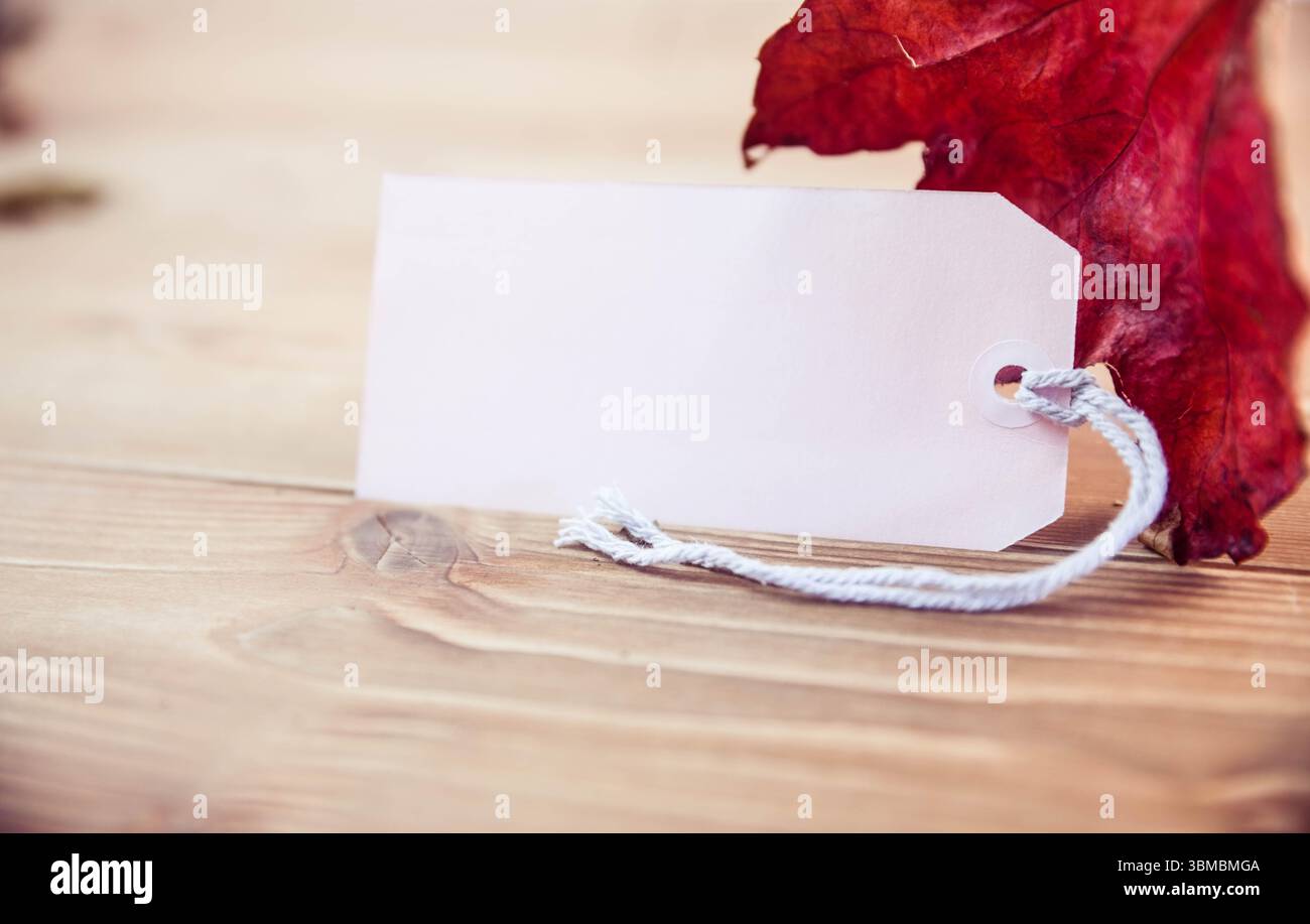 Price tag with maple leaf Stock Photo