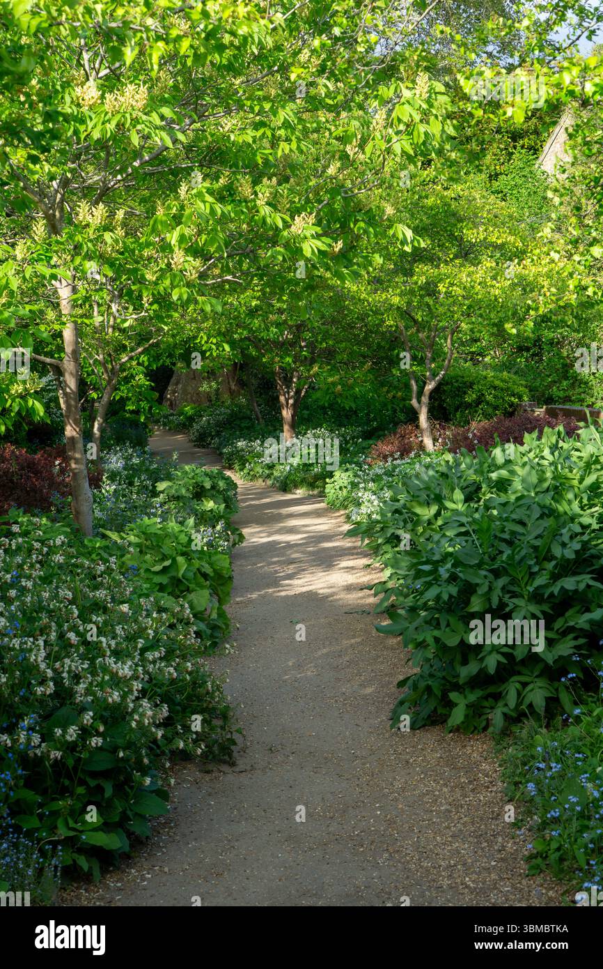 A scenic pathway through the lush greenery of Bridge End Gardens in Saffron Walden, Essex, UK Stock Photo