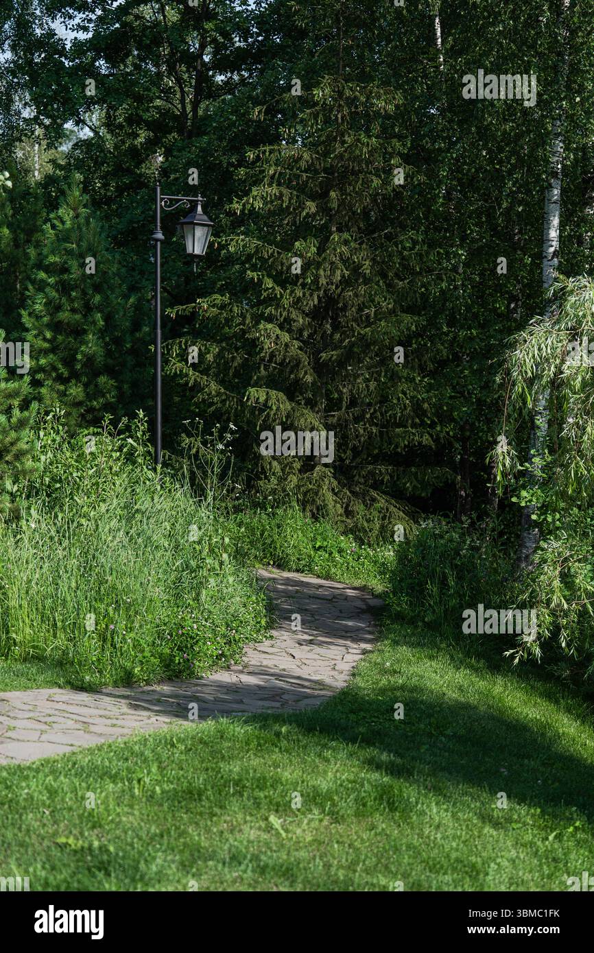 Experience a Serene Pathway That Winds Through Breathtaking Lush ...