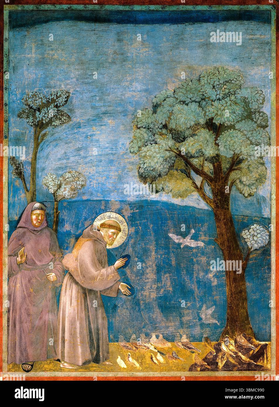 Francis preaching to the birds hi-res stock photography and images - Alamy, image size:952x1390