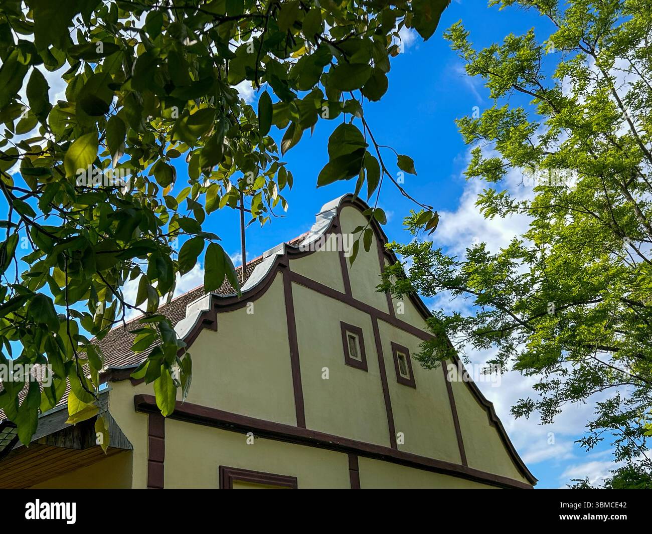 Facade of a traditional Vojvodina house with ornate roofline, framed by green tree leaves and vibrant blue sky with scattered clouds. - Smartphone Captured Stock Image