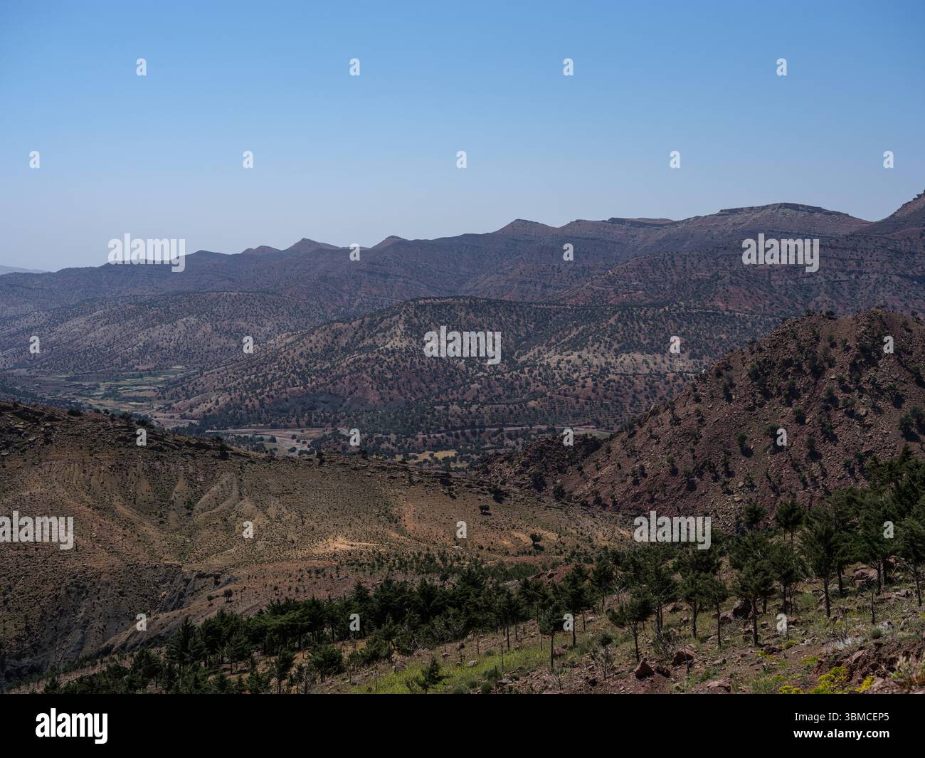 Morocco, 25 May 2025. A panoramic view of a terraced agricultural ...