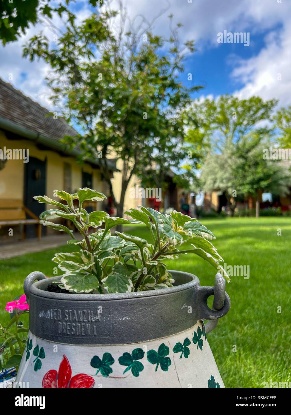 Close-up of a green plant in a hand-painted metal pot, set in a charming rustic yard with trees, grass, and traditional buildings under a blue sky. - Smartphone Captured Stock Image