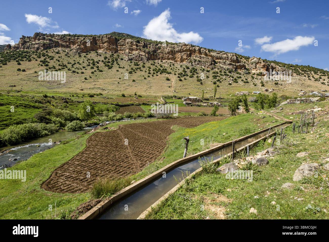 Ifran nationalpark hi-res stock photography and images - Alamy