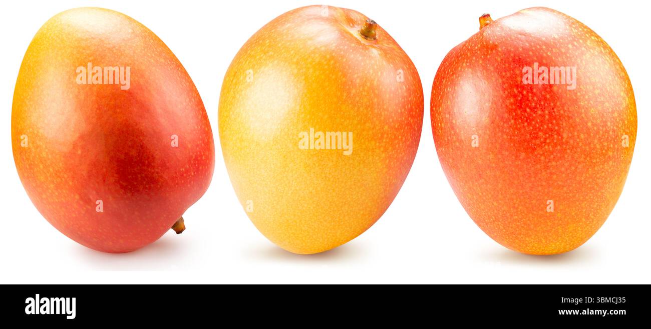 set of mango isolated on a white background. Stock Photo
