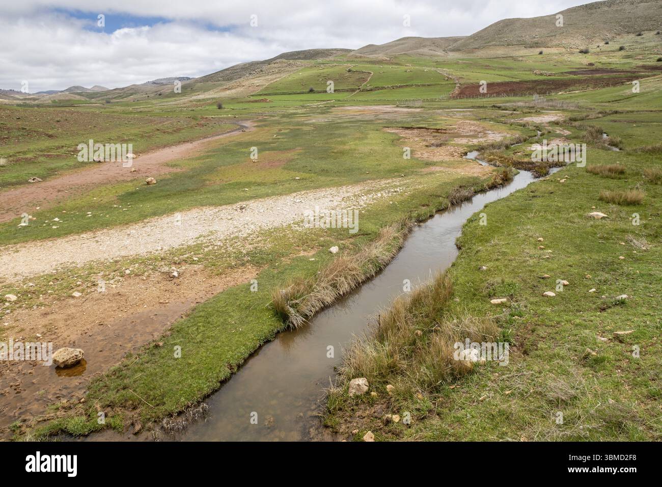 Ifrane Spring Ifrane river, Ifrane national park, Middle Atlas, Morocco, Africa Stock ...