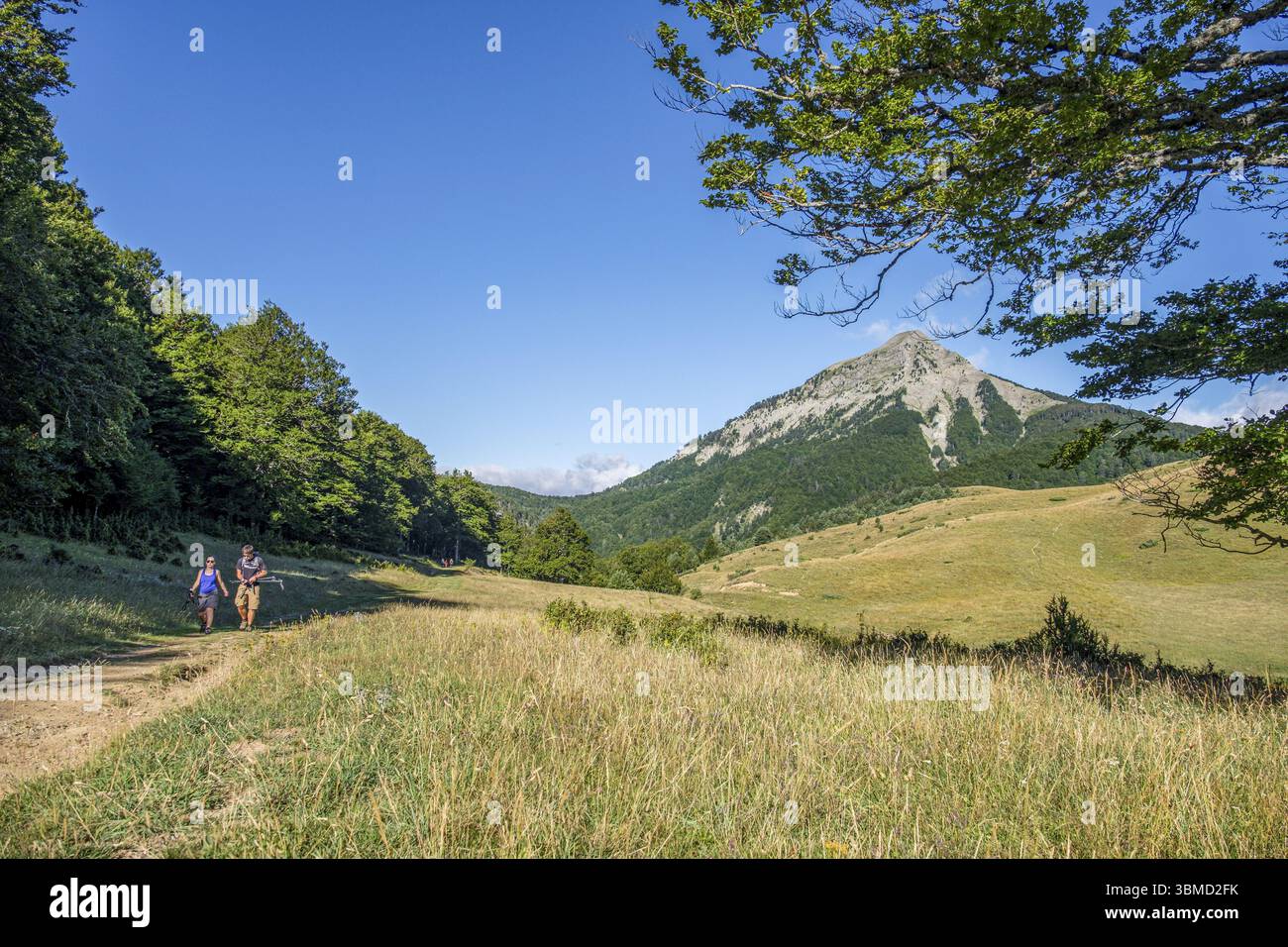 European Ravines Route of the Swallows, ravine of Petrechema, western pyrenees, Huesca ...