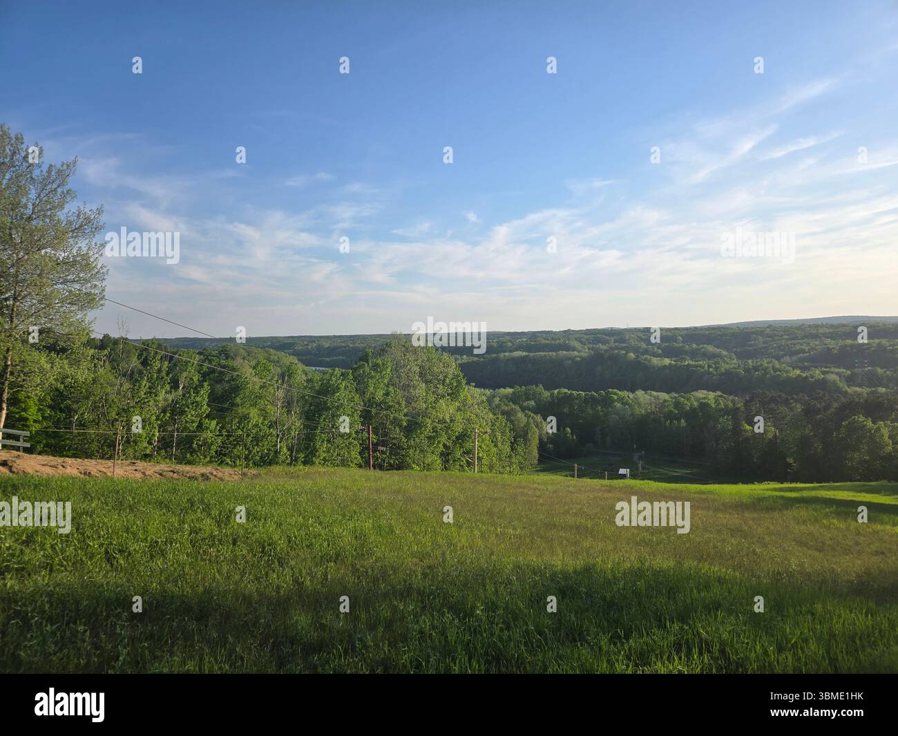 Nice Day - Smartphone Captured Stock Image