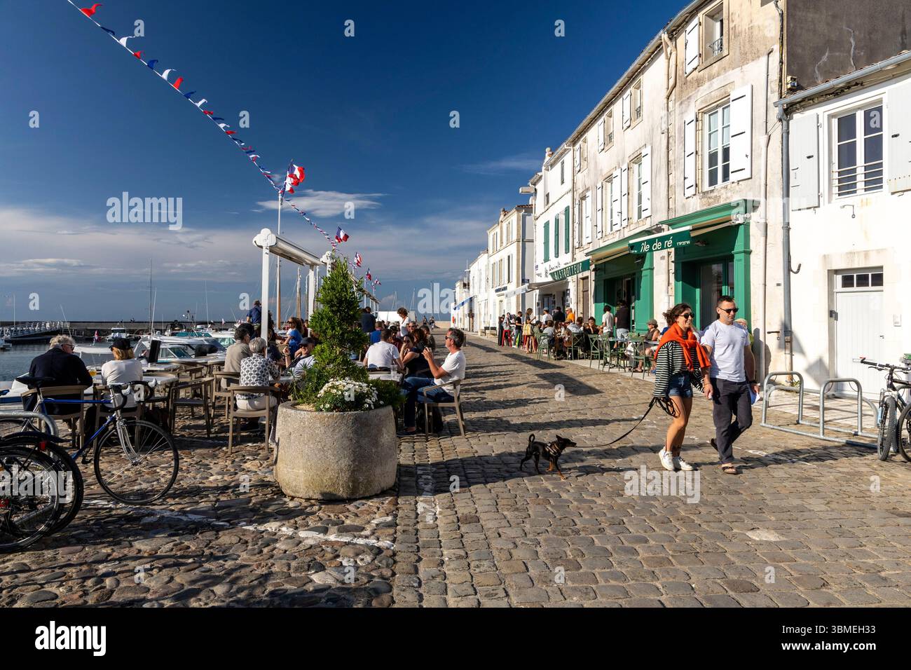 France, Charente-Maritime (17), Ile-de-Ré, La Flotte, labeled The Most ...
