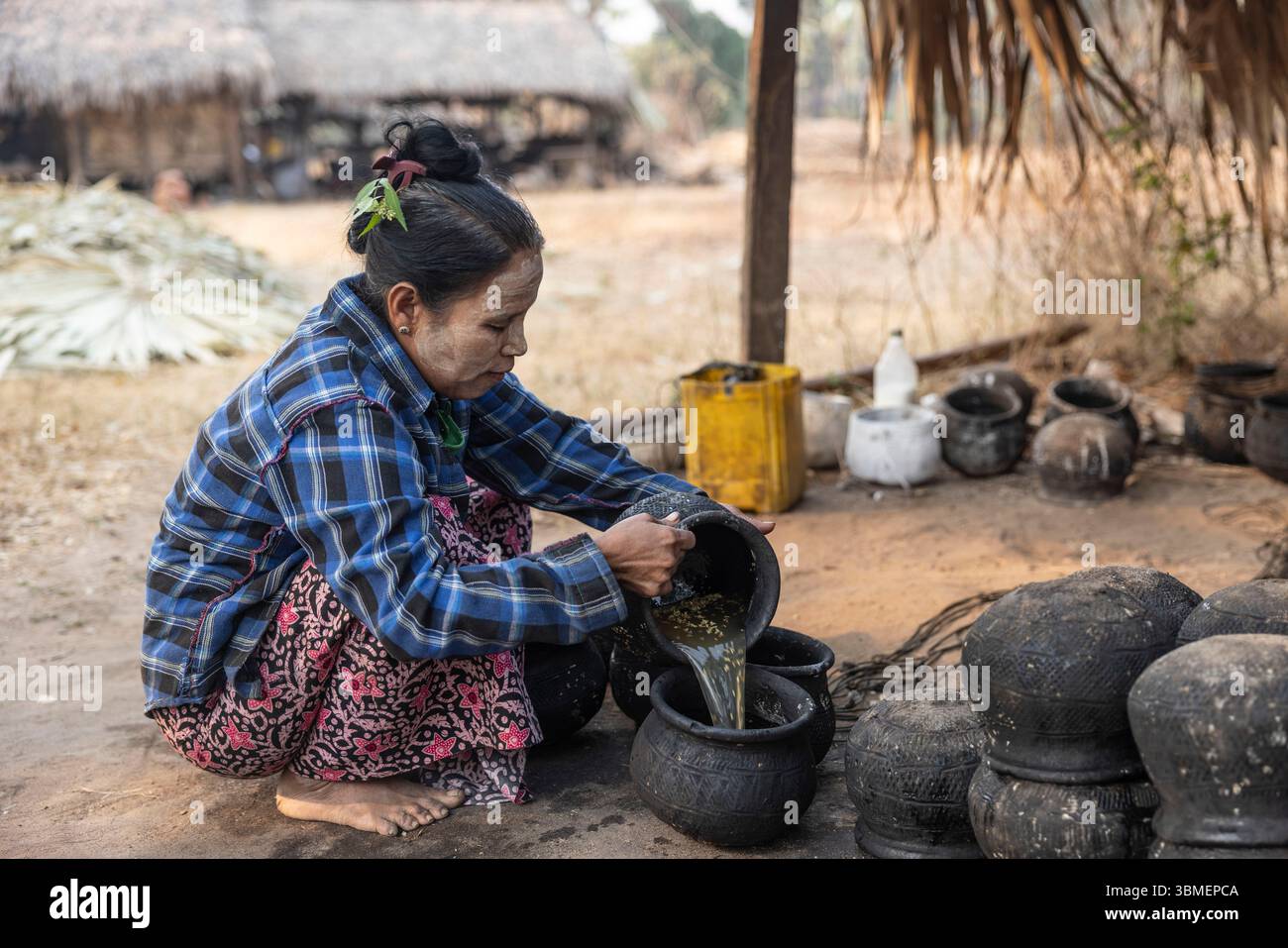 Myanmar (Burma), close to Bagan, the sap of the palm tree is harvested and then processed to make palm sugar. Stock Photo