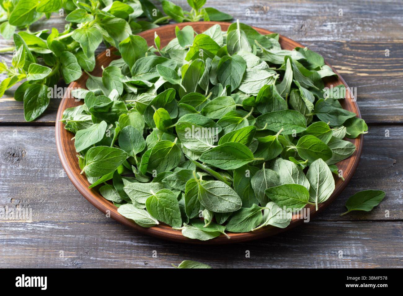 Fresh oregano leaves arranged on plate, ready for drying on rustic wooden table. Organic culinary herb used in cooking, herbal tea, and natural Stock Photo