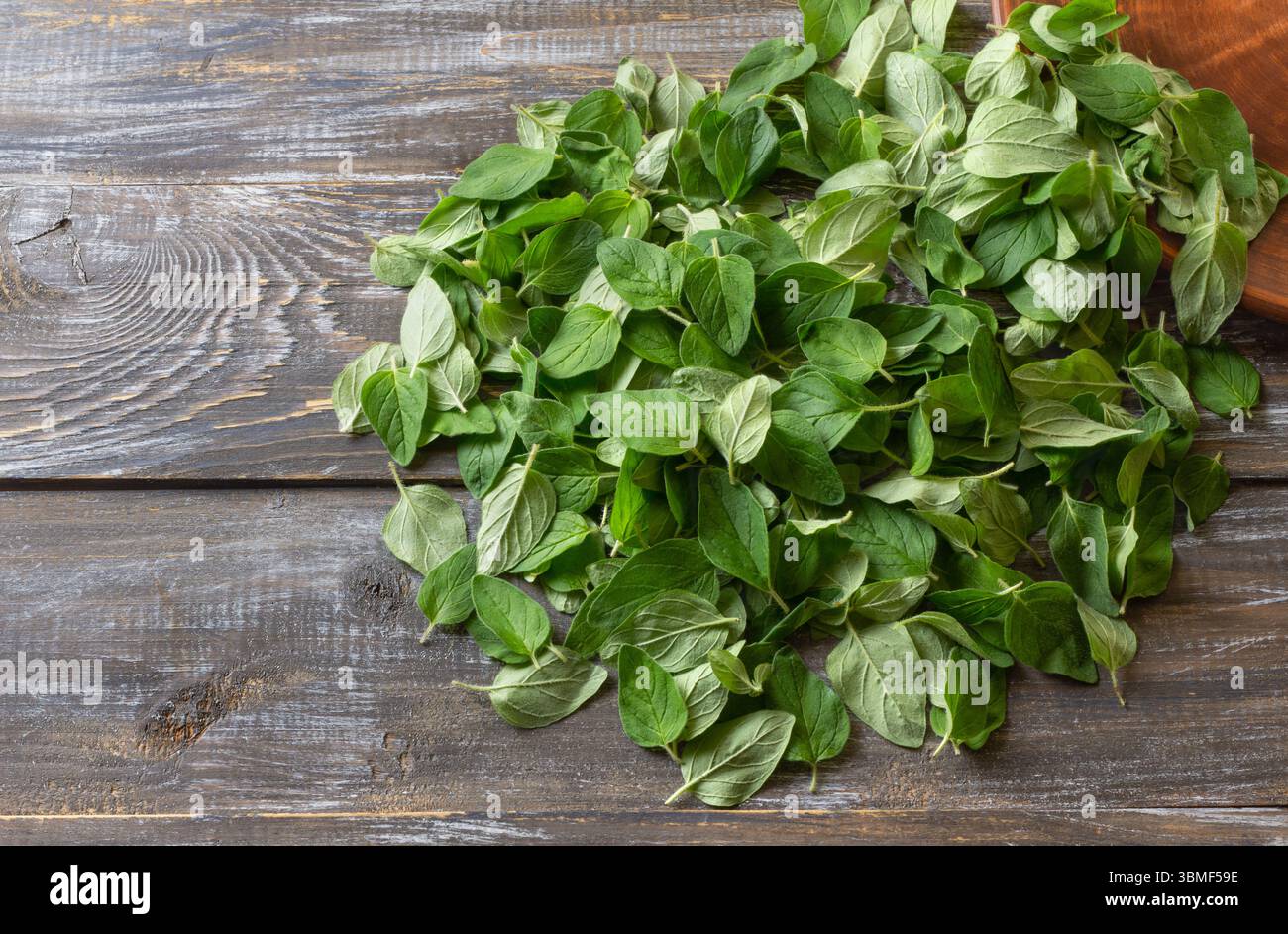 Scattered Oregano Leaves Ready for Drying. Herbal Preparation on Rustic Wooden Surface Stock Photo