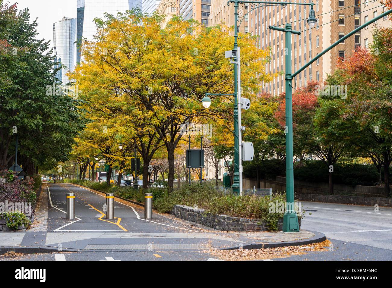 Urban pedestrian path with colorful autumn foliage and modern ...