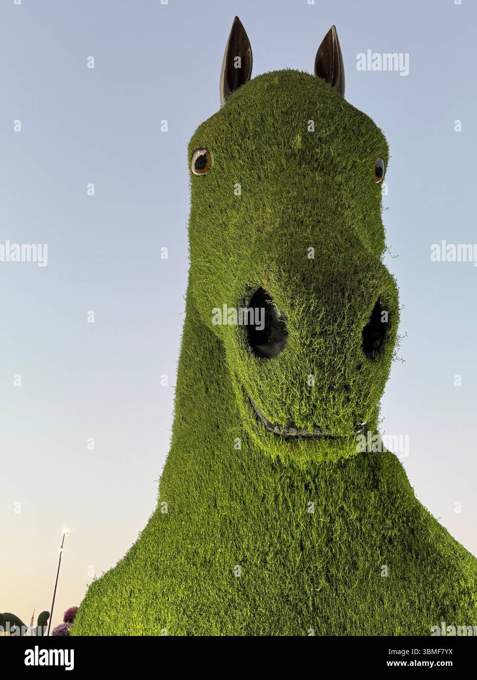 The green horse standing tall in the Dubai Miracle Garden - Smartphone Captured Stock Image