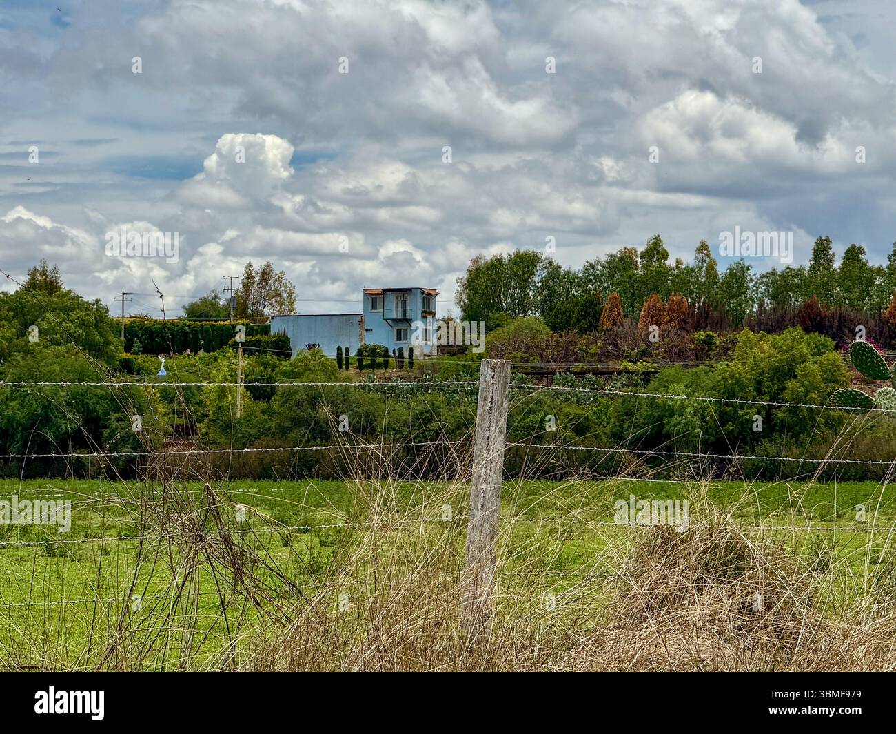 Peacefully landscape on the countryside on a cloudy day - Smartphone Captured Stock Image