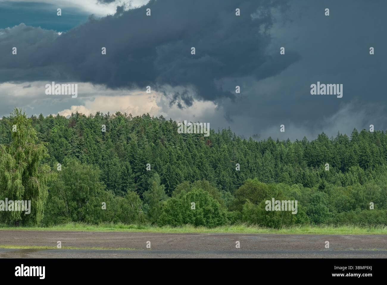 Green forest in mountains after storm with summer fresh rain Stock Photo